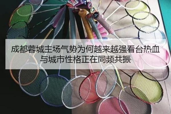 成都蓉城主场气势为何越来越强看台热血与城市性格正在同频共振（Kering）